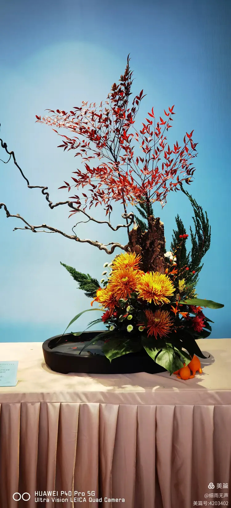 首届峨眉山中国传统插花艺术作品展.20241203拍